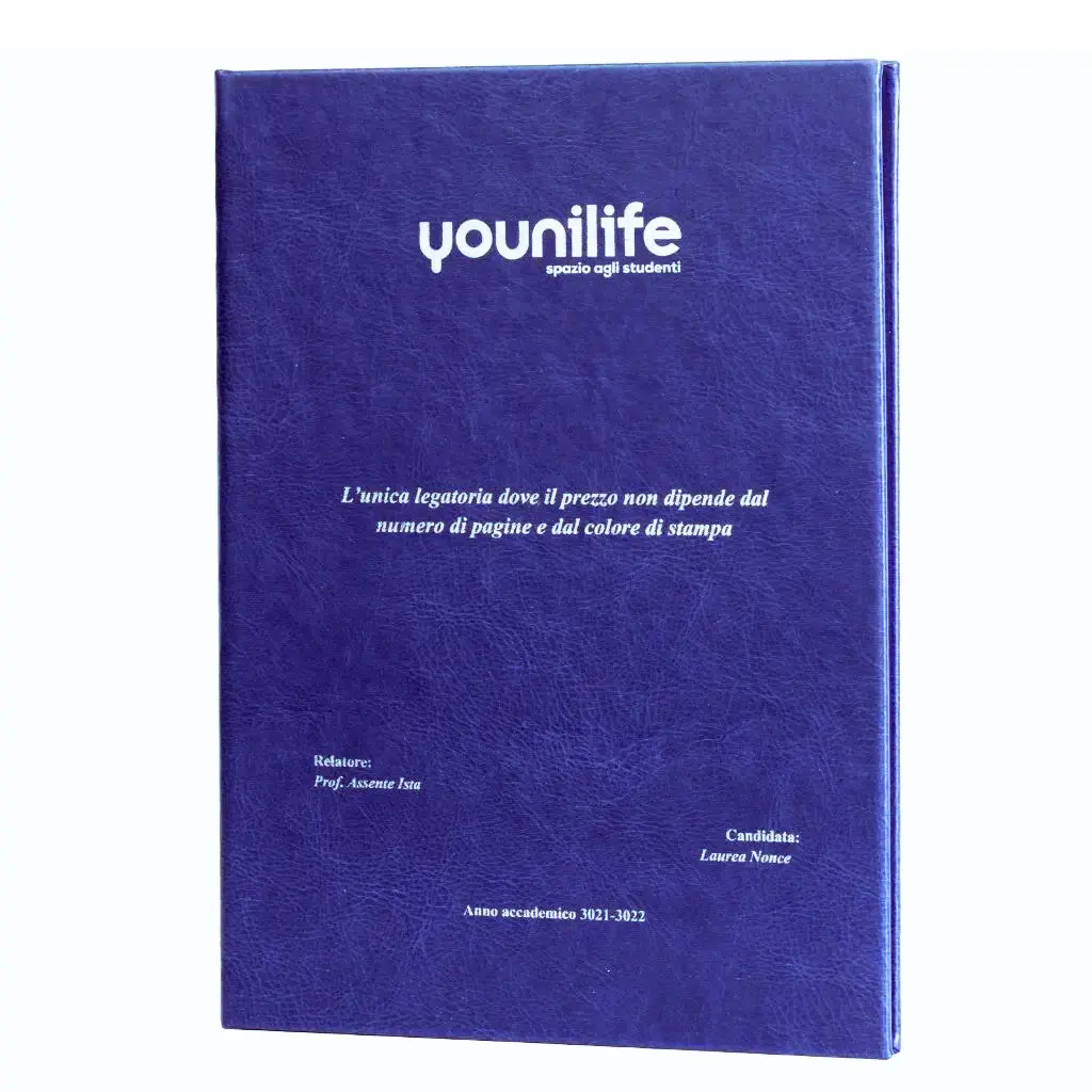 Nürma: tesi rigida in similpelle - immagine 2